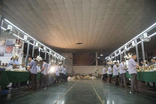 光影新境，幸福為燈 艾摩燈3.0極簡輕奢展廳與大師設(shè)計(jì)的共鳴